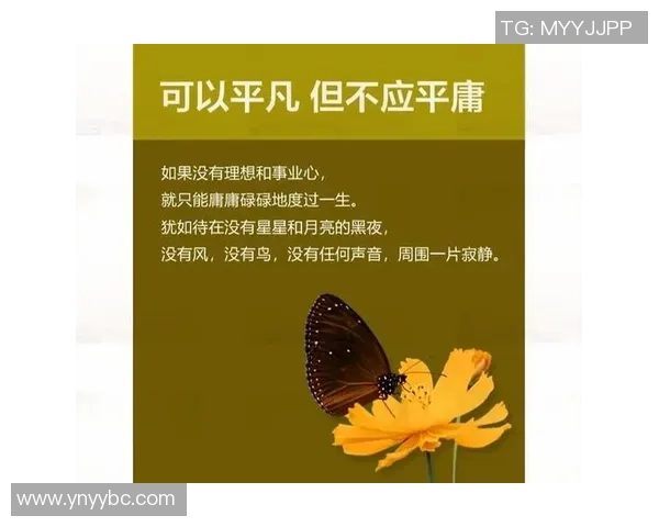 张昊的成长之路：从普通少年到璀璨明星的奋斗历程与心路历程分享