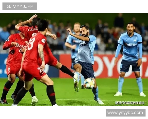 惠灵顿凤凰迎战纽卡斯托期待激烈对决与精彩瞬间